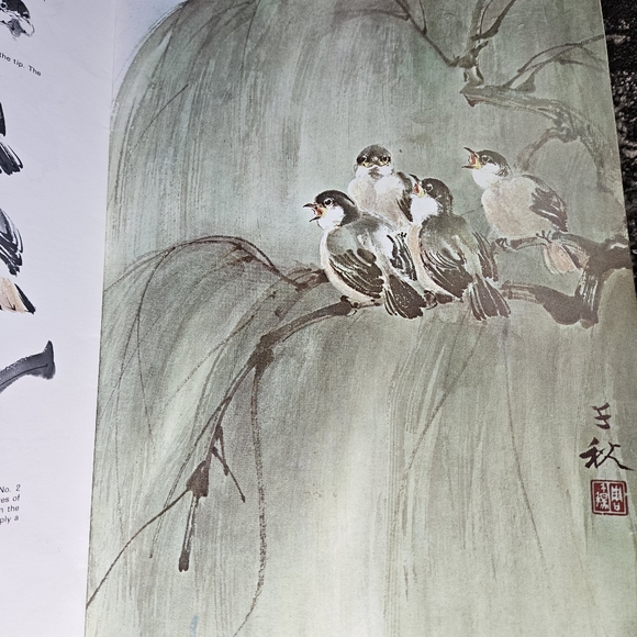 Chinese Painting 2 Walter Foster How To Draw Paint Painting Softcover #128 - Picture 14 of 16